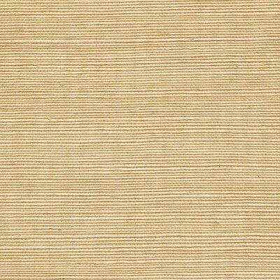 Winfield Thybony for Kravet: Sisal WP WSS4509.WT.0 Wheat