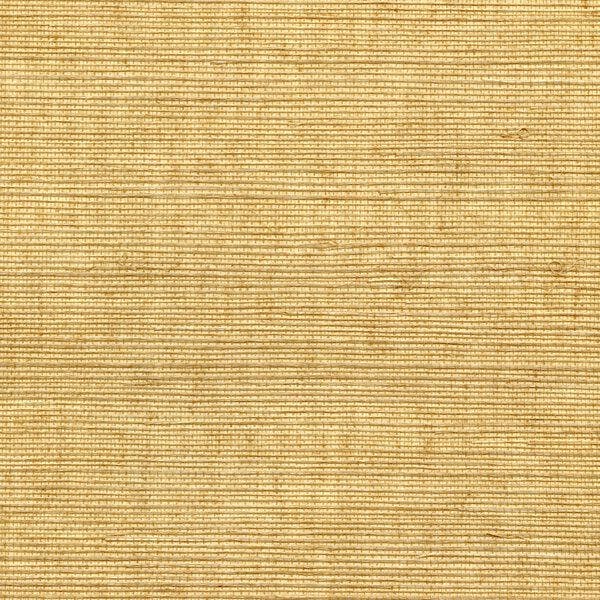 Winfield Thybony for Kravet: Sisal WP WSS4536.WT.0 Brush