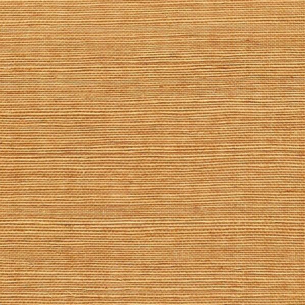 Winfield Thybony for Kravet: Sisal WP WSS4540.WT.0 Ecru
