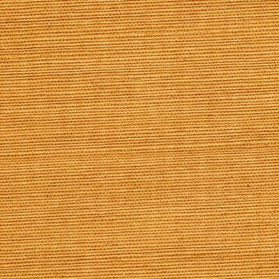 Winfield Thybony for Kravet: Sisal WP WSS4542.WT.0 Honey