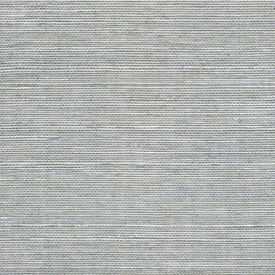 Winfield Thybony for Kravet: Sisal WP WSS4593.WT.0 Lapis