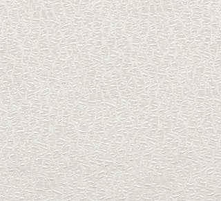 Old World Weavers for Scalamandre: Halley ZA 1830 HALL Winter White