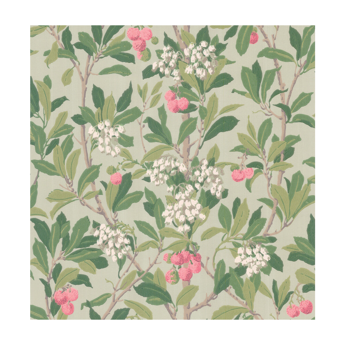 COLE & SON STRAWBERRY TREE PINK & DUCK EGG