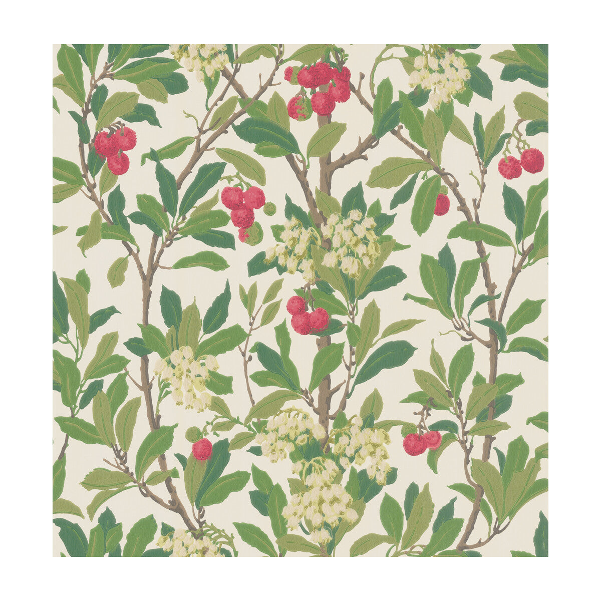 COLE & SON STRAWBERRY TREE SCARLET & IVORY