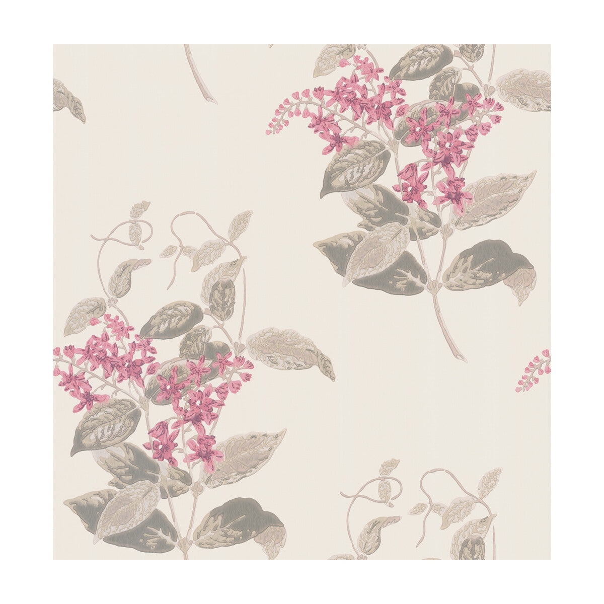 COLE & SON MADRAS VIOLET PINK