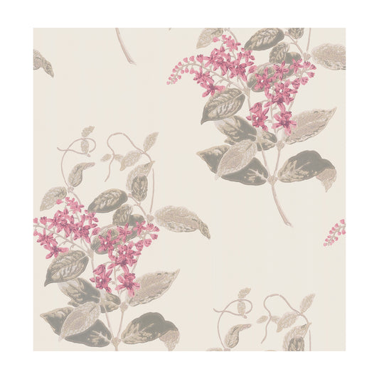 COLE & SON MADRAS VIOLET PINK