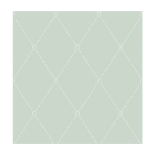 COLE & SON LARGE GEORGIAN ROPE TRELLIS DUCK EGG