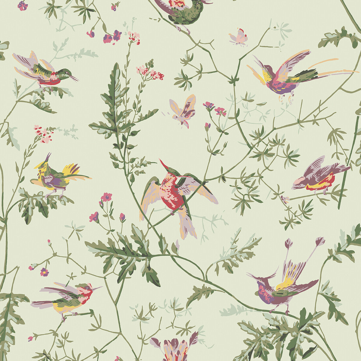 COLE & SON HUMMINGBIRDS GREEN MULTI-COLOUR