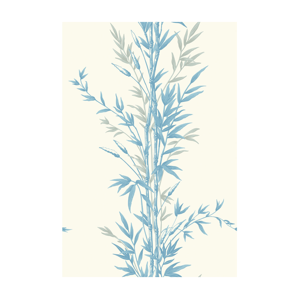 COLE & SON BAMBOO BLUE ON IVORY