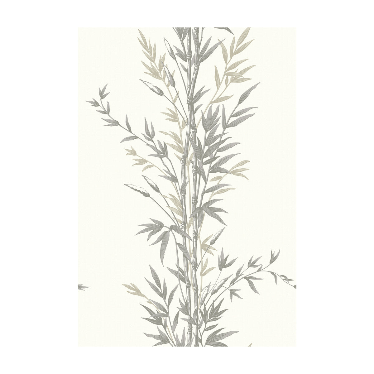 COLE & SON BAMBOO CHARCOAL