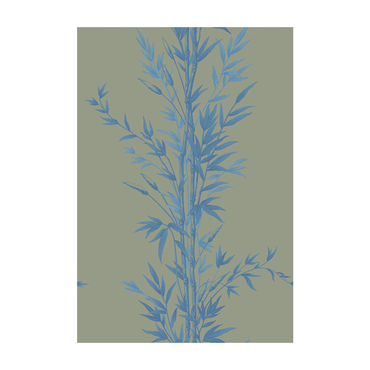 COLE & SON BAMBOO BLUE ON KHAKI