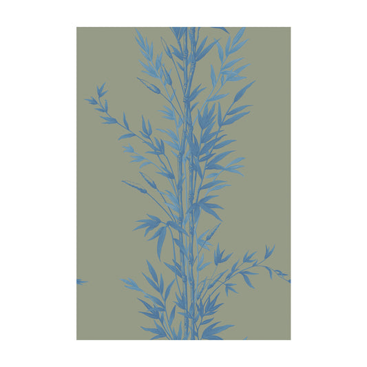 COLE & SON BAMBOO BLUE ON KHAKI