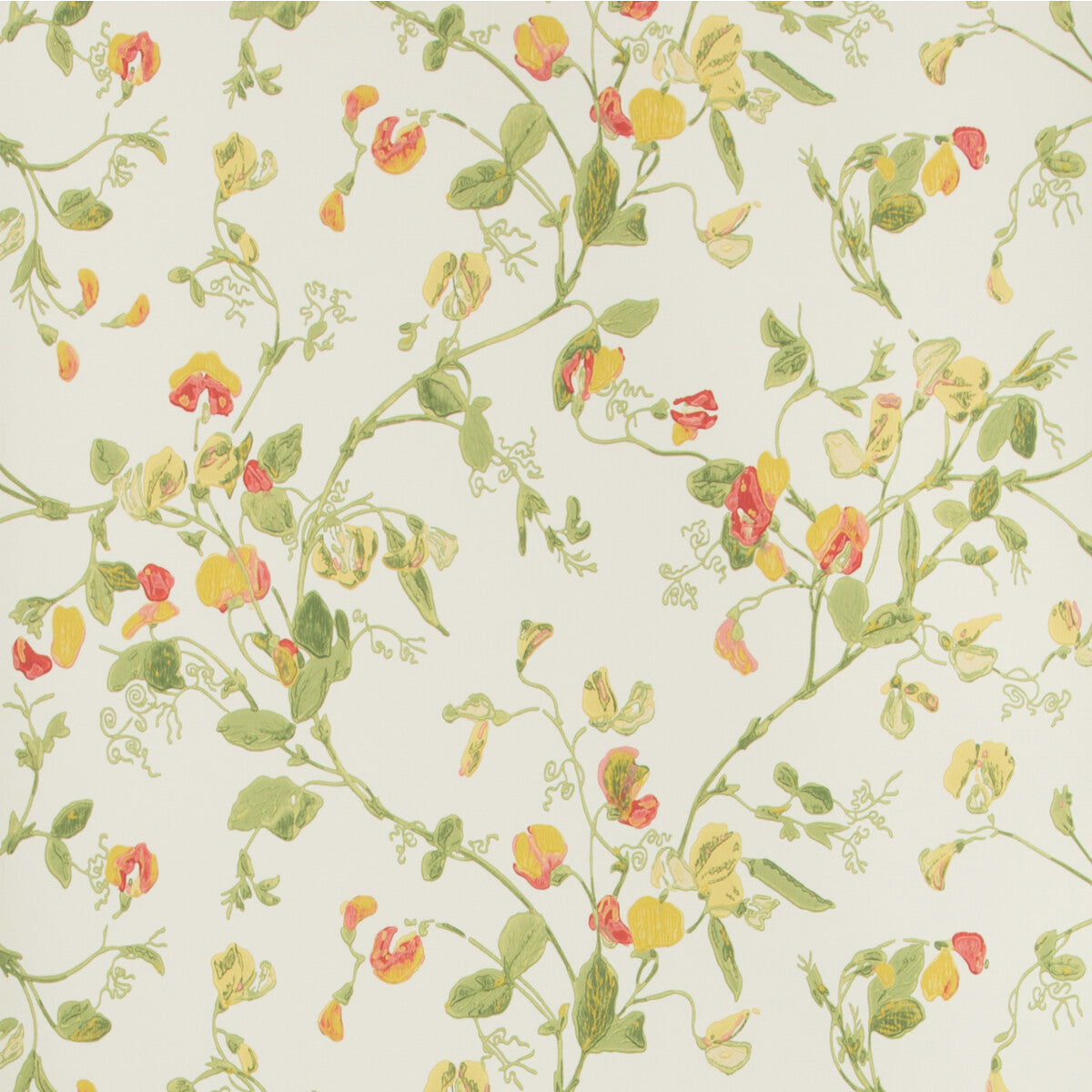 COLE & SON SWEET PEA PINK & YELLOW