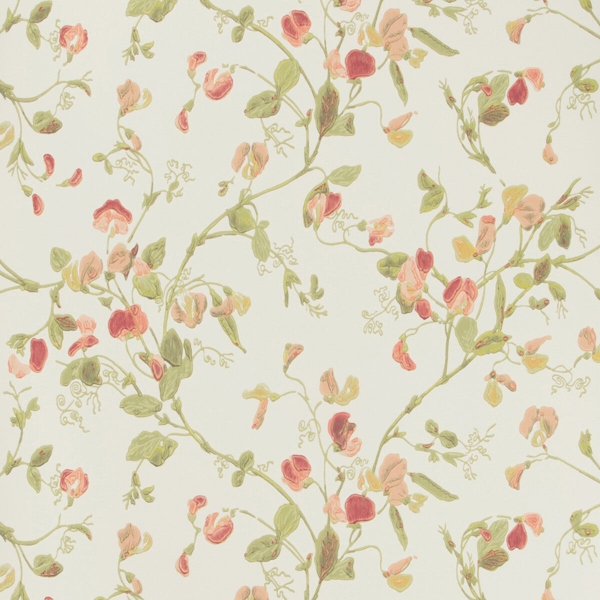 COLE & SON SWEET PEA PINK