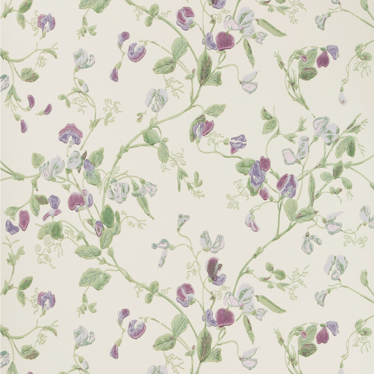 COLE & SON SWEET PEA VIOLET