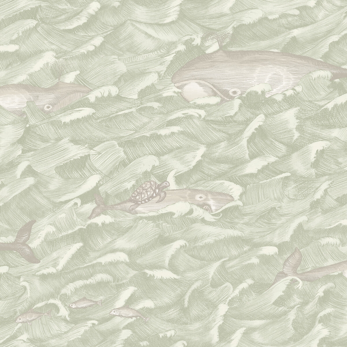 COLE & SON MELVILLE GREEN