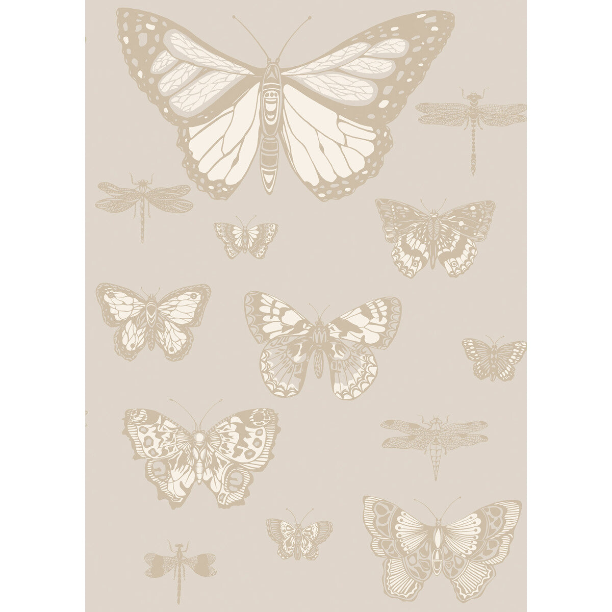 COLE & SON BUTTERFLIES & DRAGONFLIES GREY