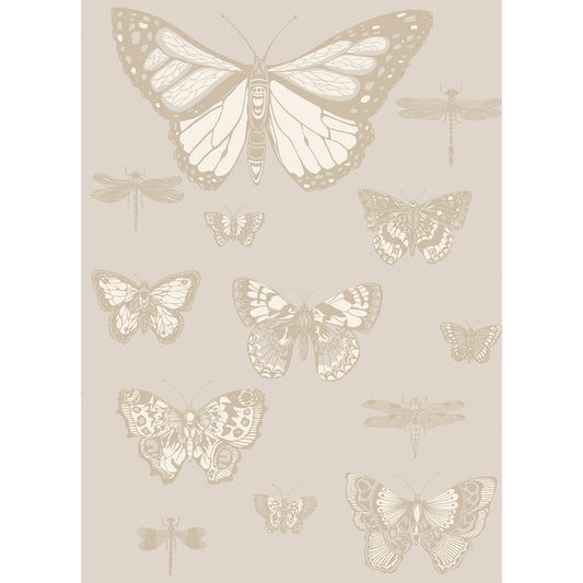 COLE & SON BUTTERFLIES & DRAGONFLIES GREY
