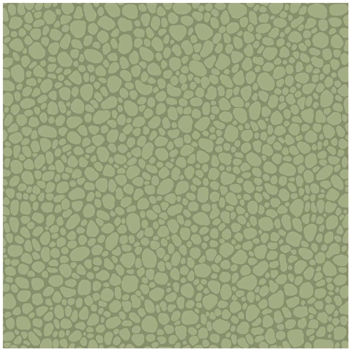 COLE & SON PEBBLE DARK OLIVE