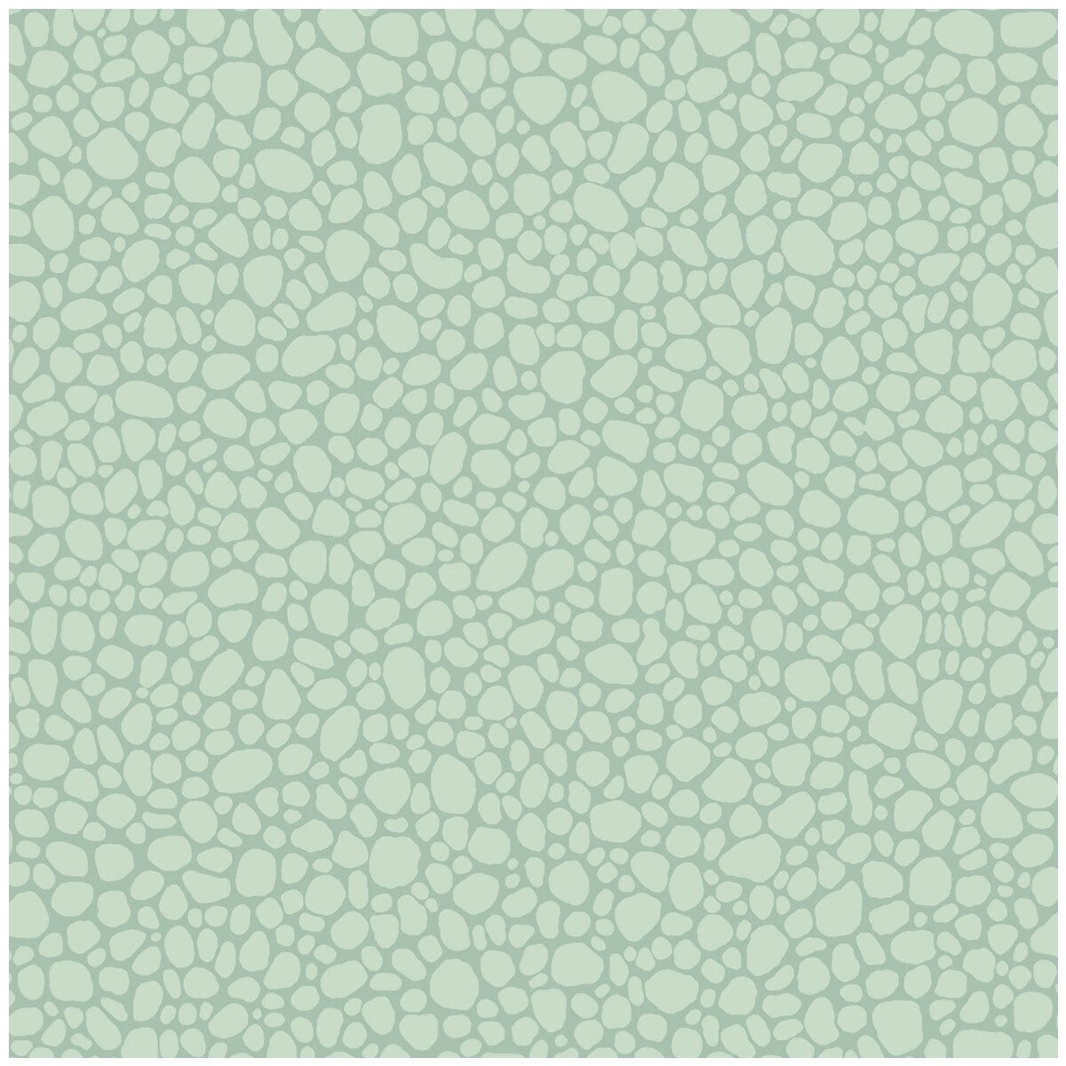 COLE & SON PEBBLE PRINT ROOM BLUE