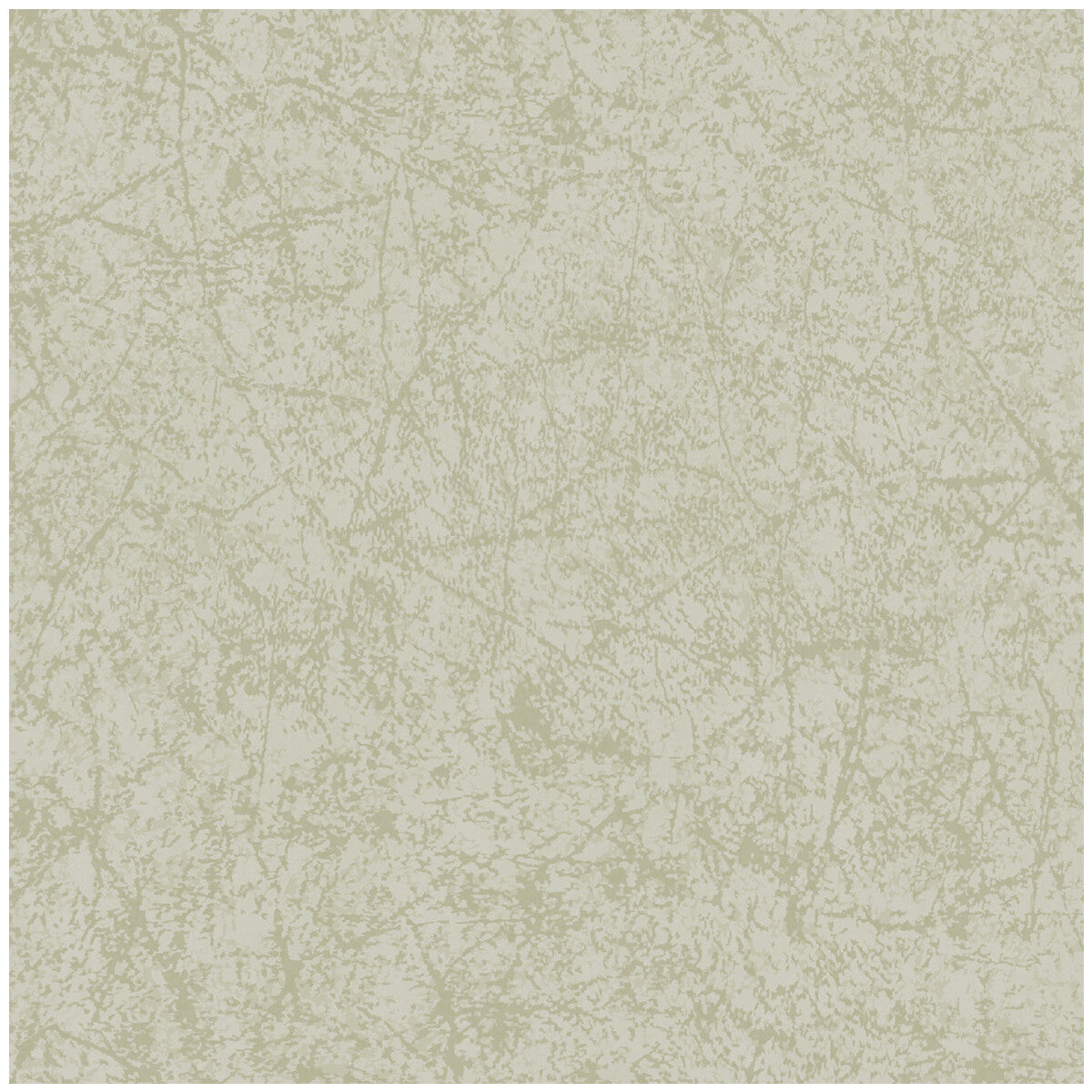COLE & SON CORDOVAN OLD OLIVE
