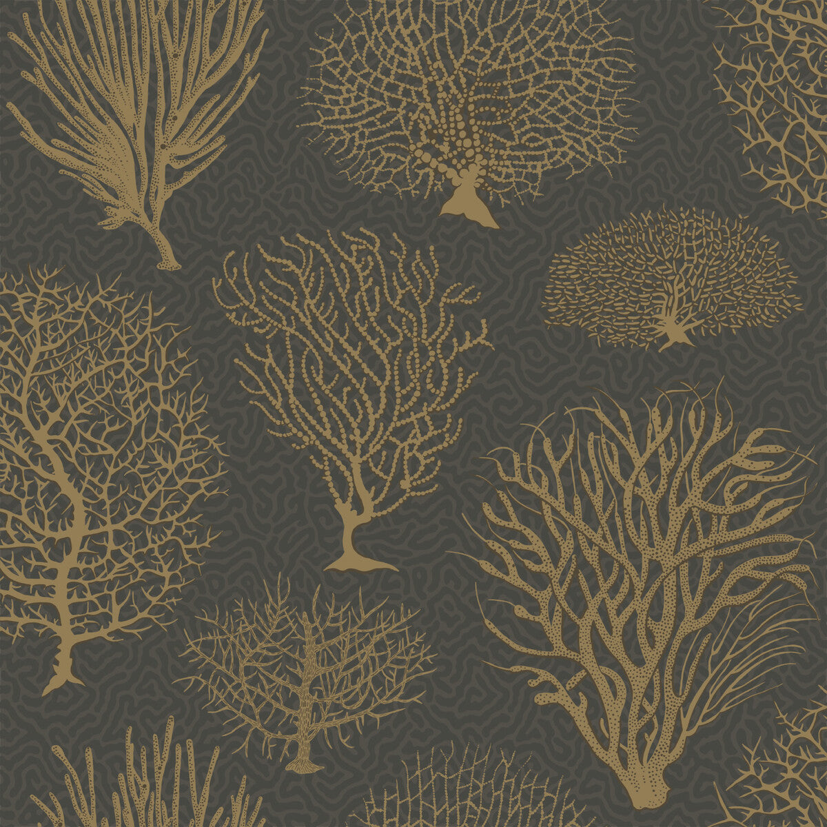 COLE & SON SEAFERN BLACK & GOLD