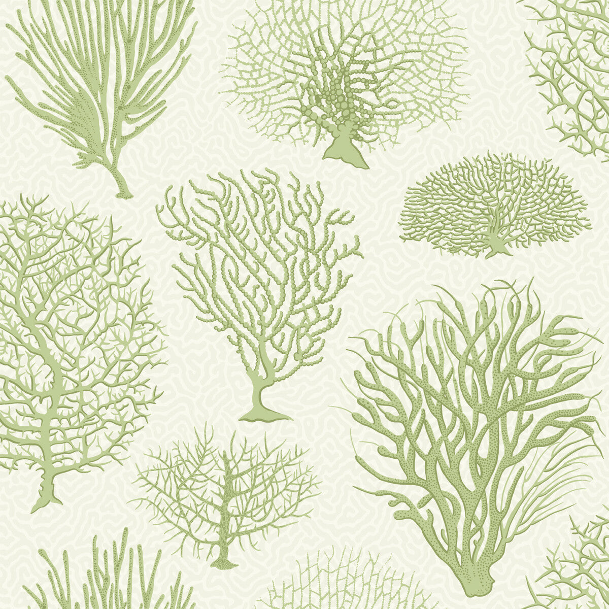 COLE & SON SEAFERN SOFT GREEN