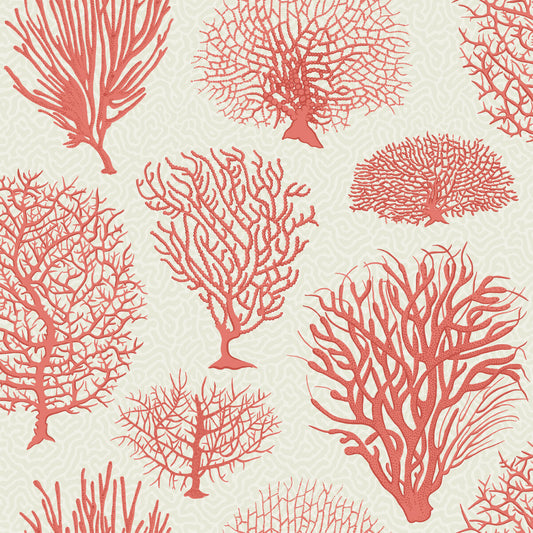 COLE & SON SEAFERN CORAL