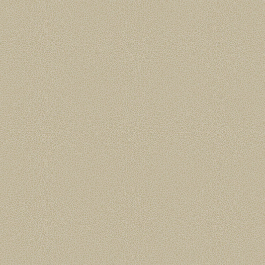 COLE & SON GOLDSTONE STONE & GILVER