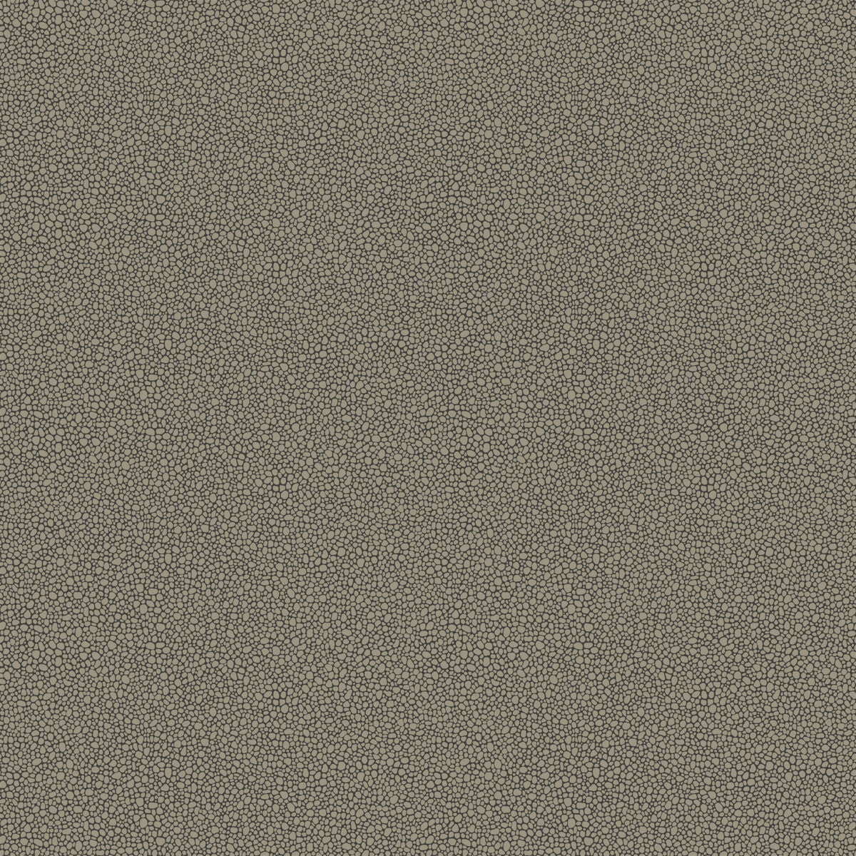 COLE & SON GOLDSTONE BLACK & SILVER
