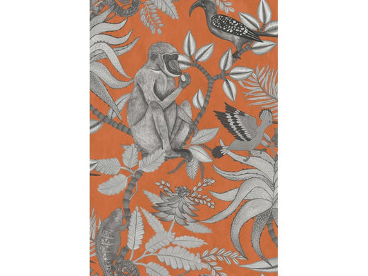 Cole & Son WP: Ardmore Savuti 109/1001.CS.0 Orange