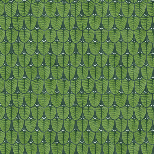 COLE & SON NARINA LEAF GREEN