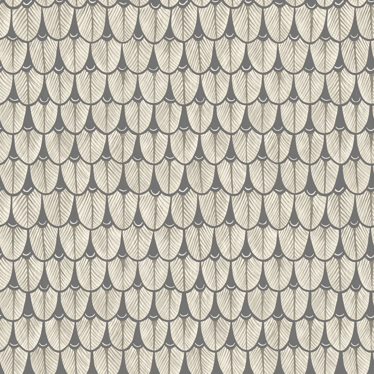 COLE & SON NARINA BLACK & WHITE