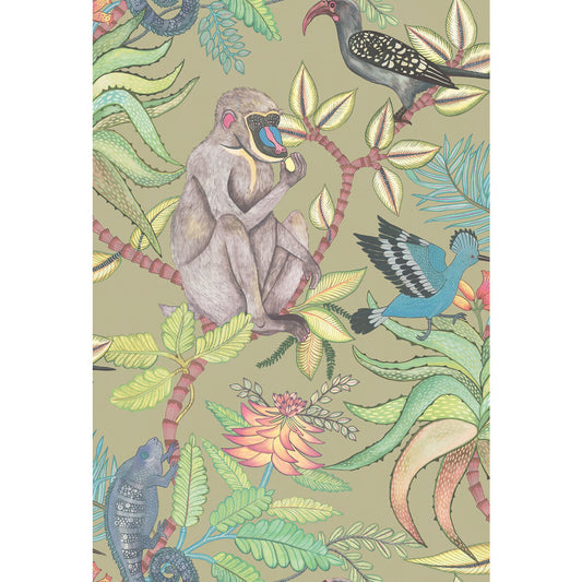 COLE & SON SAVUTI KHAKI MULTI