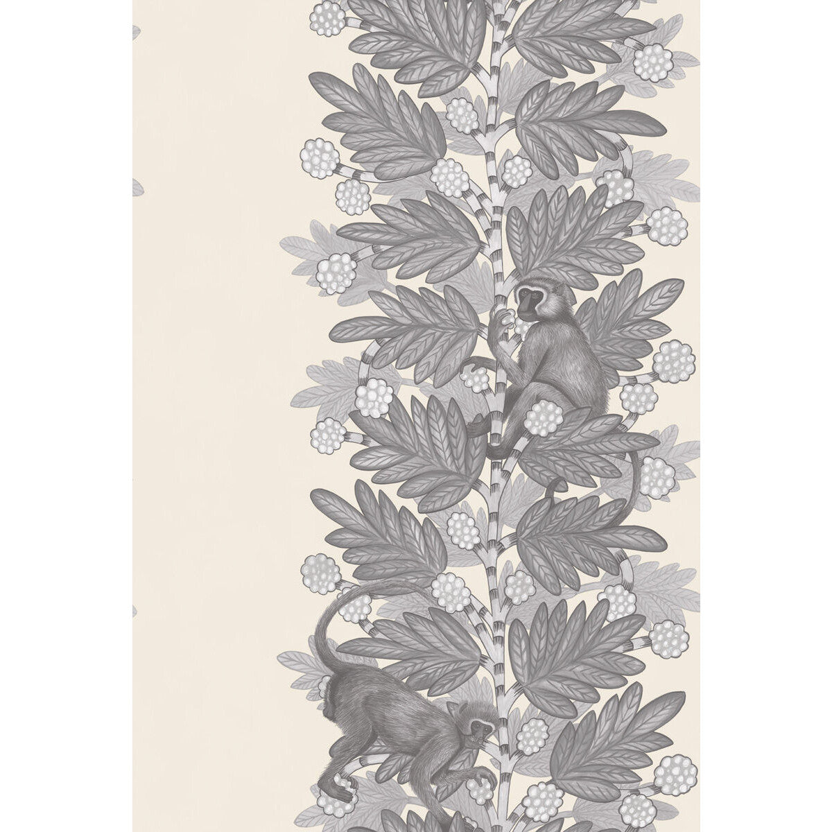 COLE & SON ACACIA GREY & WHITE