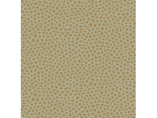 Cole & Son WP: Ardmore Senzo Spot 109/6029.CS.0 Olive