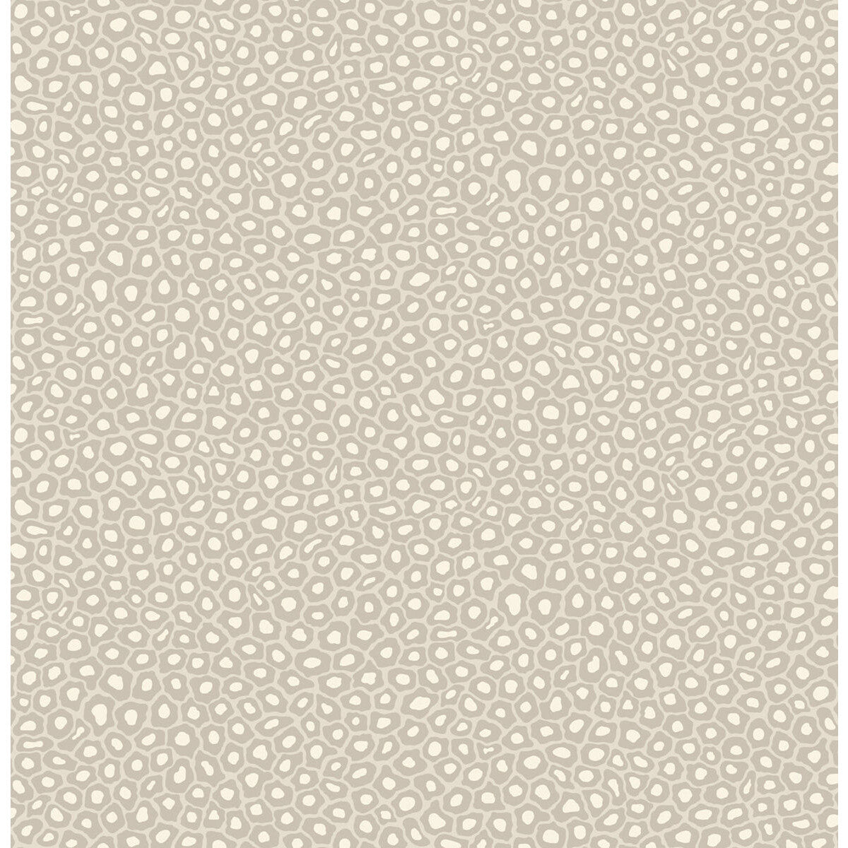 COLE & SON SENZO SPOT STONE & WHITE