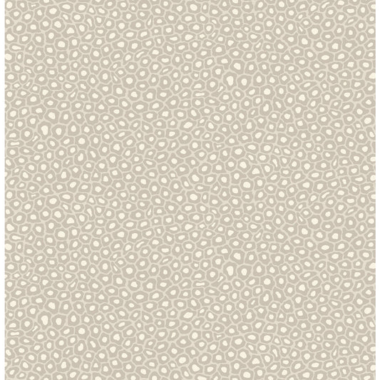 COLE & SON SENZO SPOT STONE & WHITE