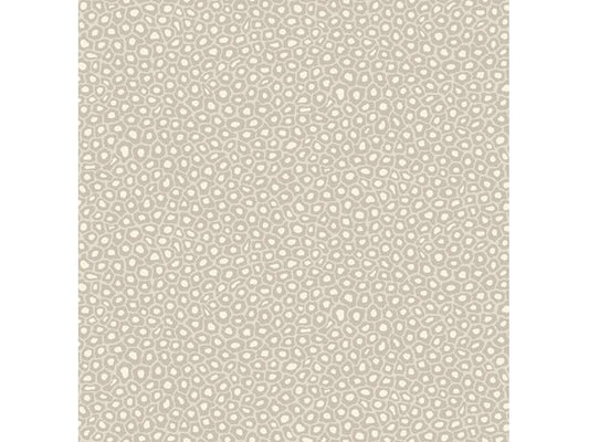 Cole & Son WP: Ardmore Senzo Spot 109/6030.CS.0 Stone & White