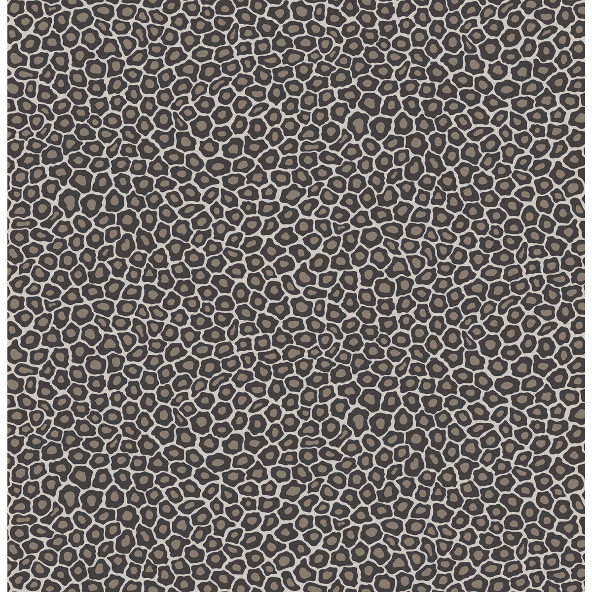COLE & SON SENZO SPOT BLACK & WHITE