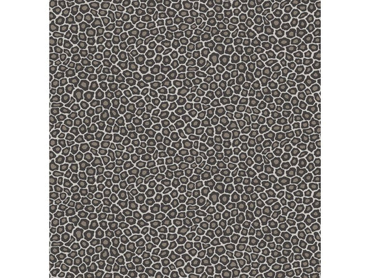 Cole & Son WP: Ardmore Senzo Spot 109/6031.CS.0 Black & White