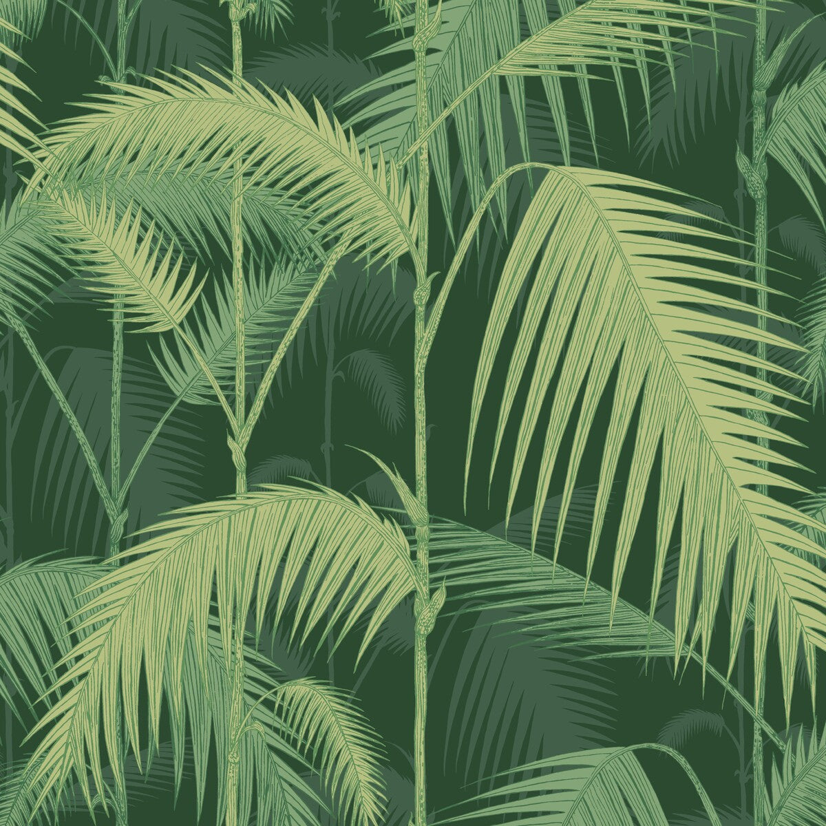 COLE & SON PALM JUNGLE LEAF GREEN