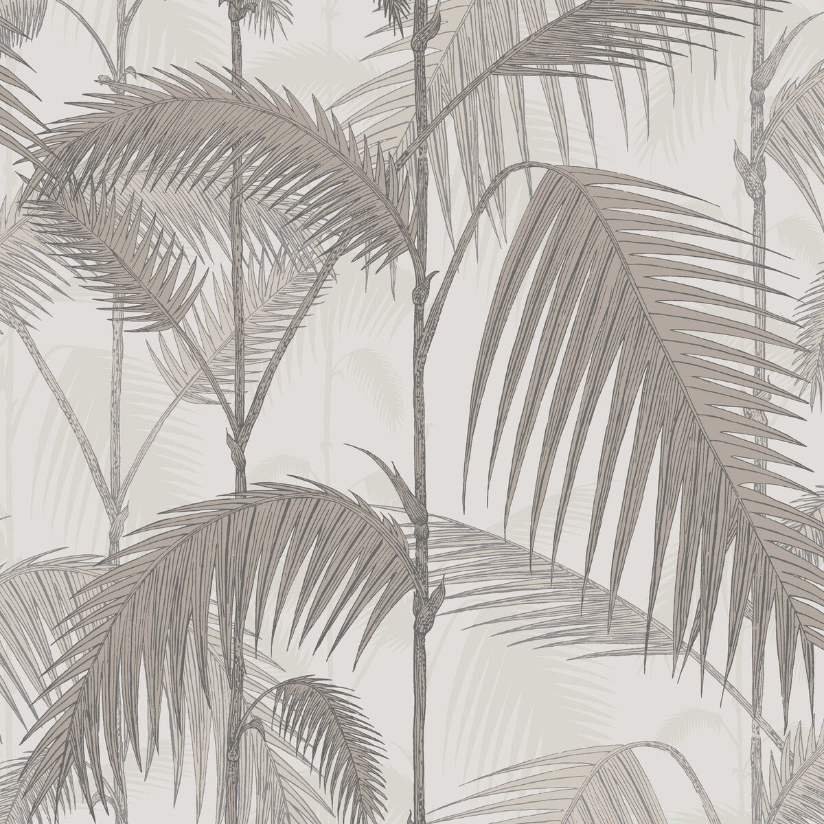 COLE & SON PALM JUNGLE STONE/TAUPE