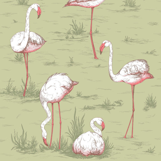 COLE & SON FLAMINGOS OLIVE