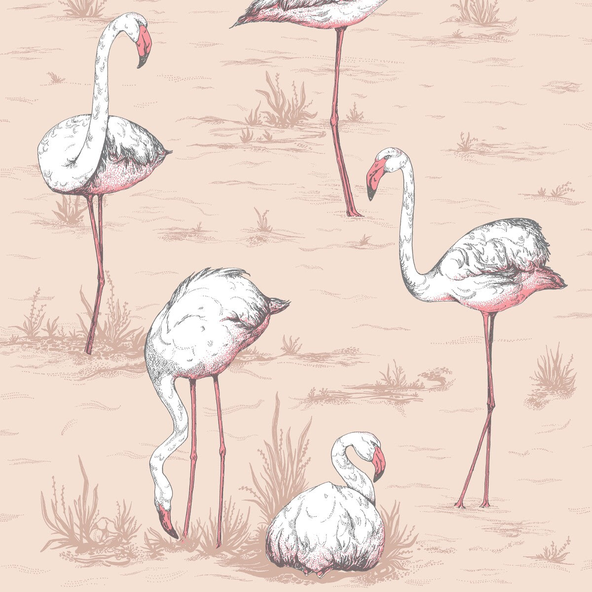 COLE & SON FLAMINGOS PLASTER PINK