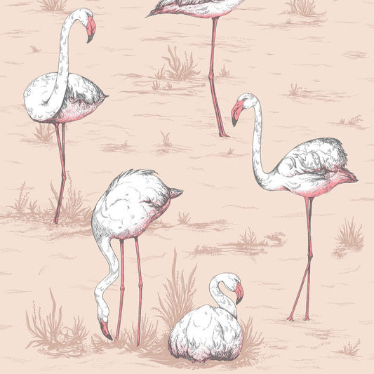COLE & SON FLAMINGOS PLASTER PINK