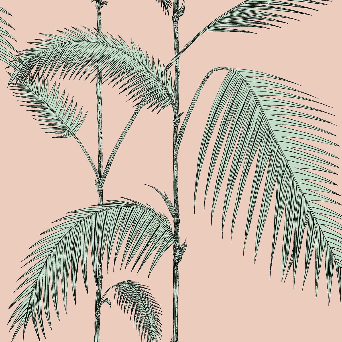 COLE & SON PALM LEAVES PLASTER PINK/MINT