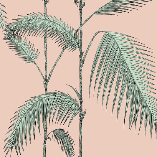 COLE & SON PALM LEAVES PLASTER PINK/MINT