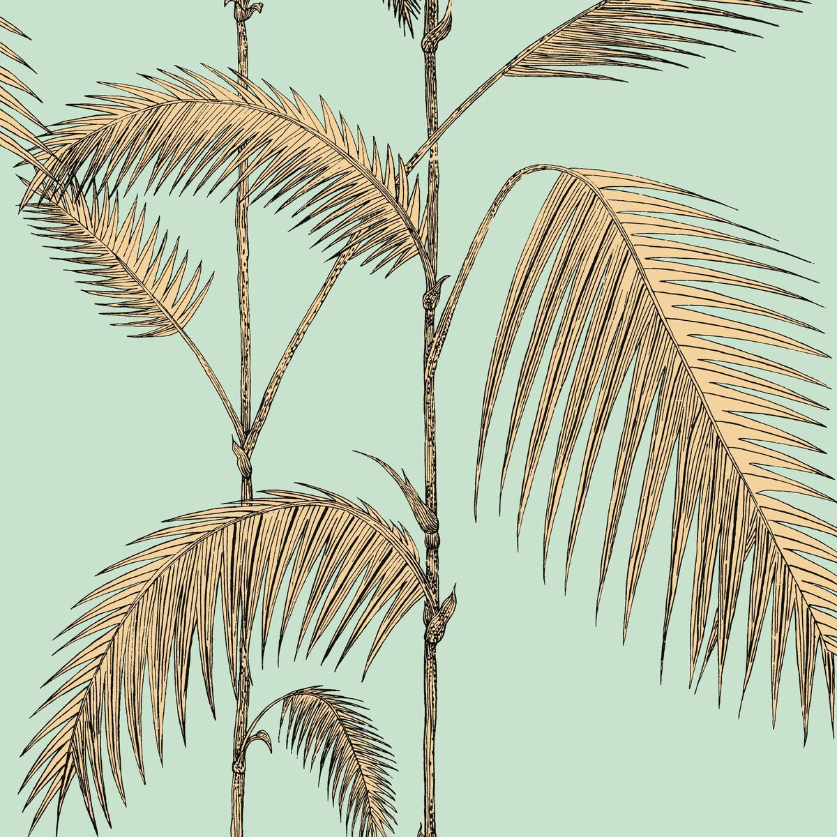 COLE & SON PALM LEAVES MINT/YELLOW