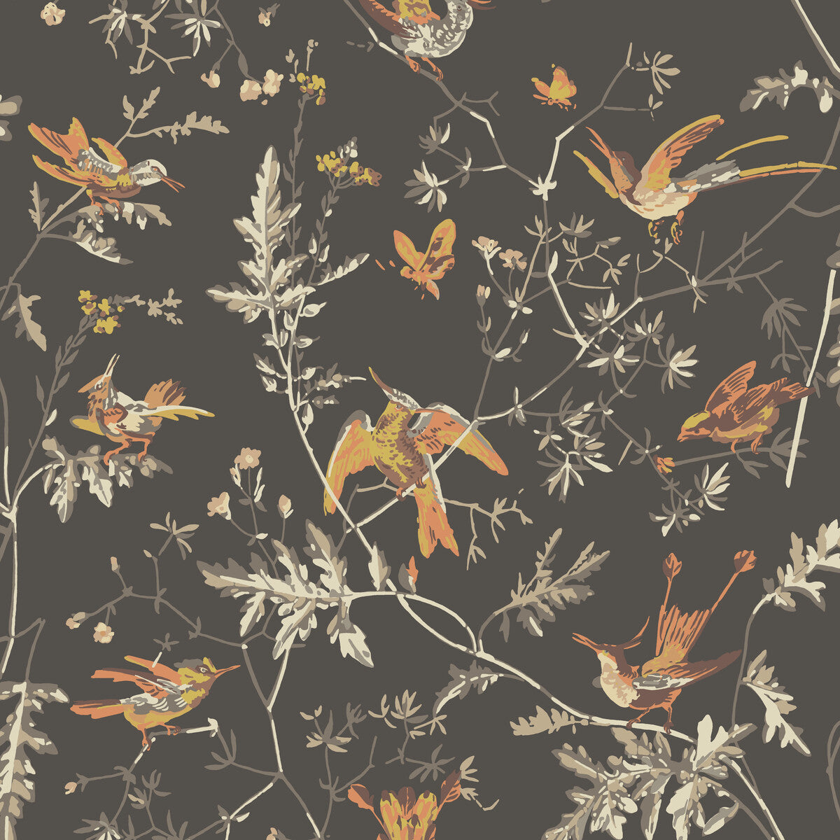 COLE & SON HUMMINGBIRDS CHARCOAL/GINGER